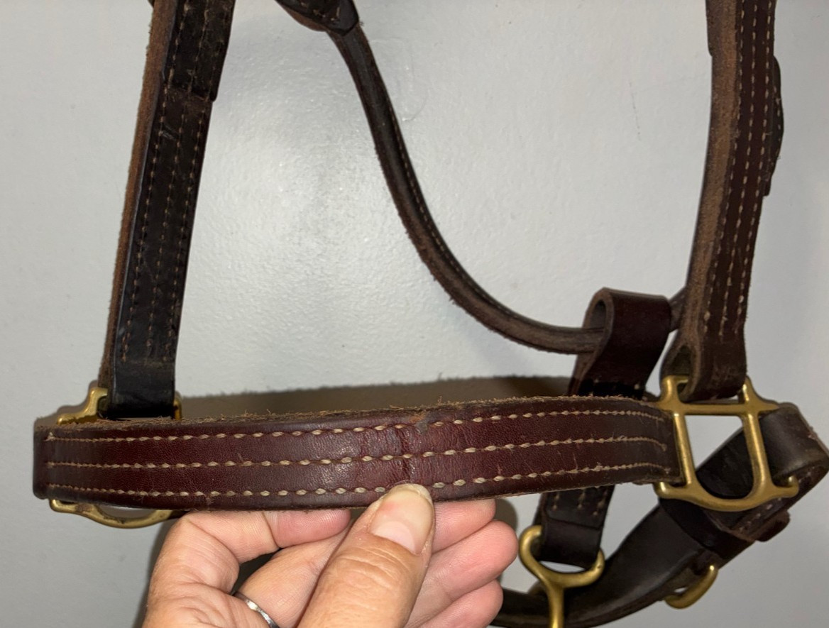 WEAVER LEATHER THICK TRIPLE STITCHED HORSE SIZE HALTER