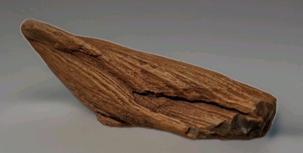Petrified Driftwood 130g
