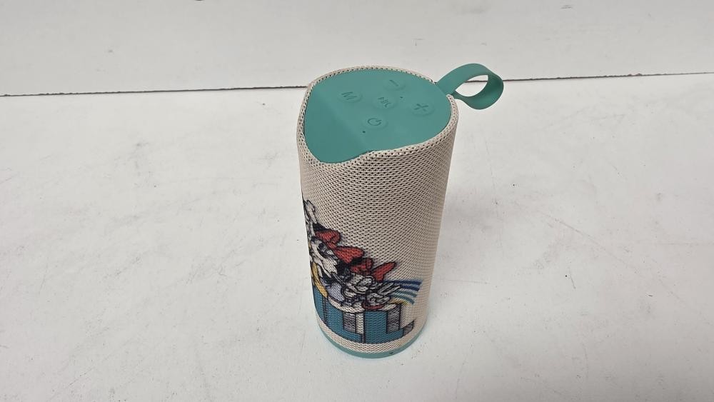 DISNEY DS20216F (P08031418)