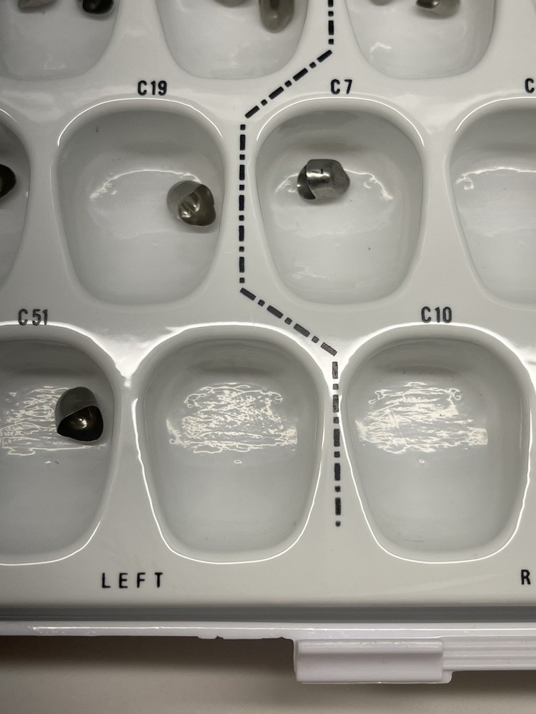 Upper Cuspid Crowns by Rugby Labs plus Extras 🦷