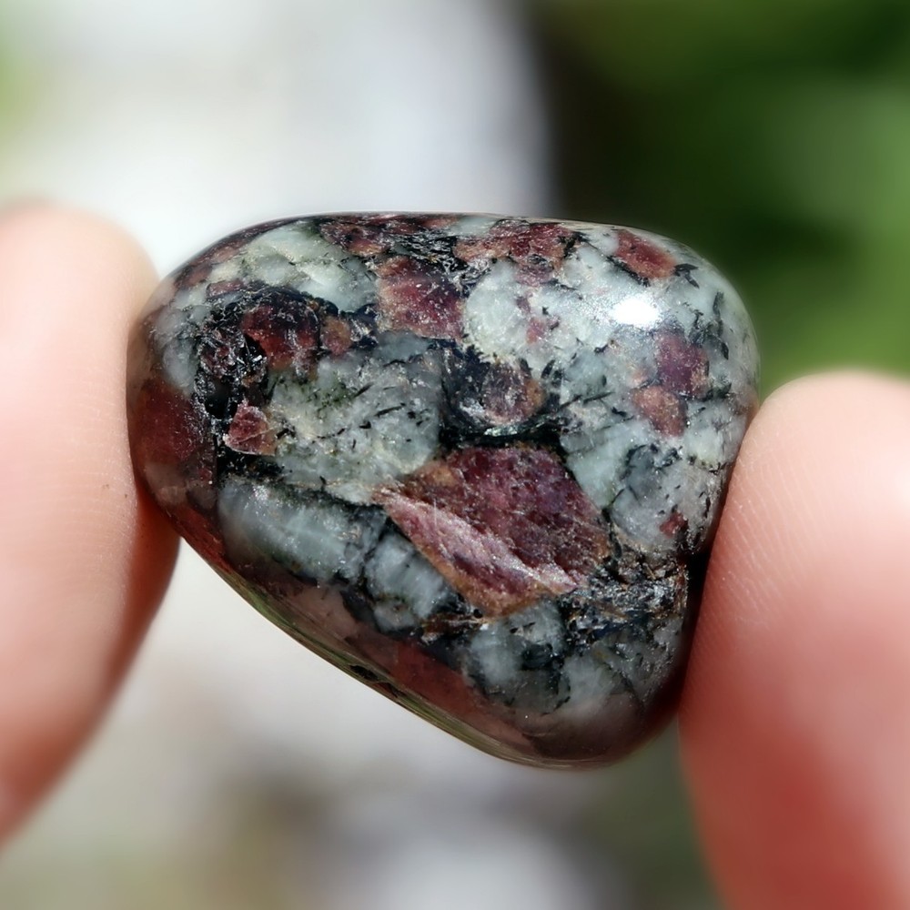 Polished Eudialyte (EUD42)
