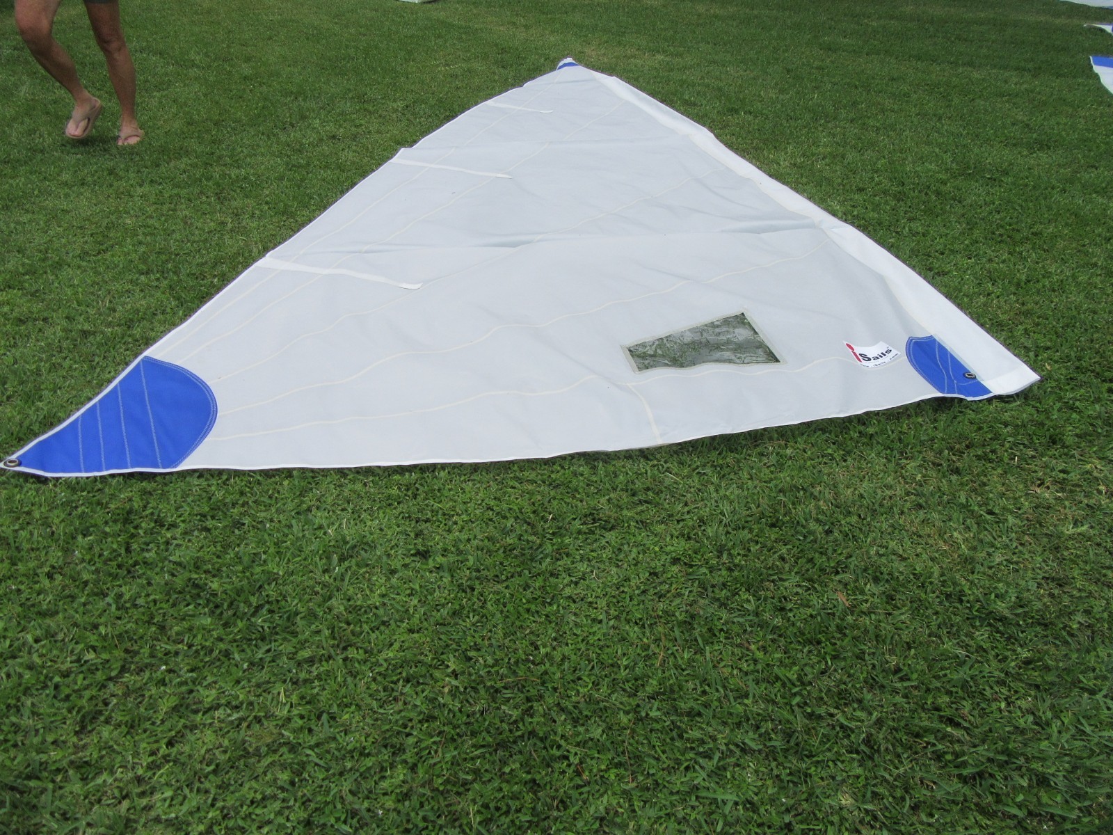 Radial training sail for Laser® by iSails  Regular