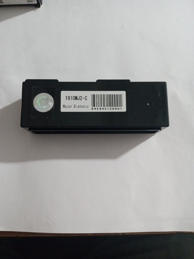 Mick Jagger Major Diatonic 1910MJ2-C Harmonica