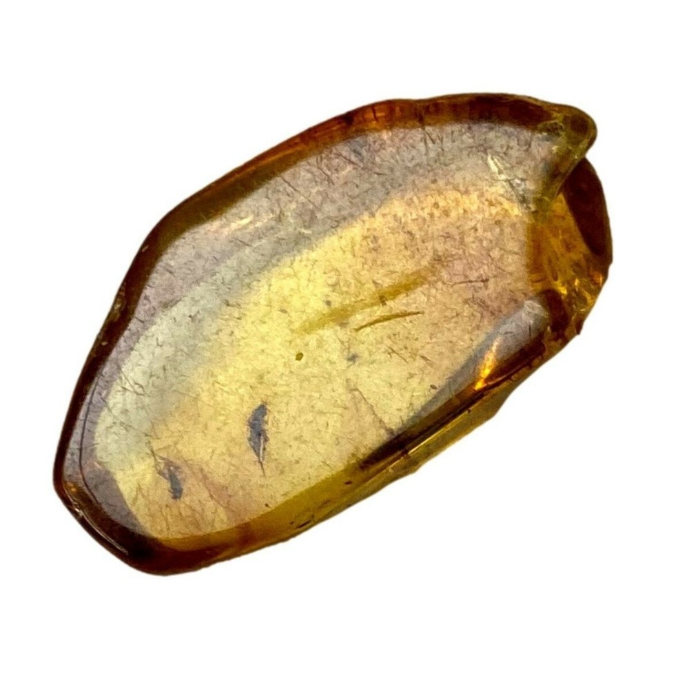 Genuine Amber Specimen with Insect Inclusions - 7/8" x 1/2"