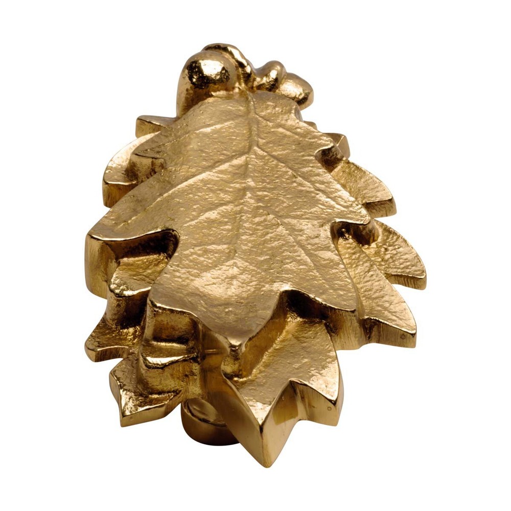 Oak Leaf Solid Brass Door Knocker Oak Leaf 6H x 3W Front Door Renovators Supply