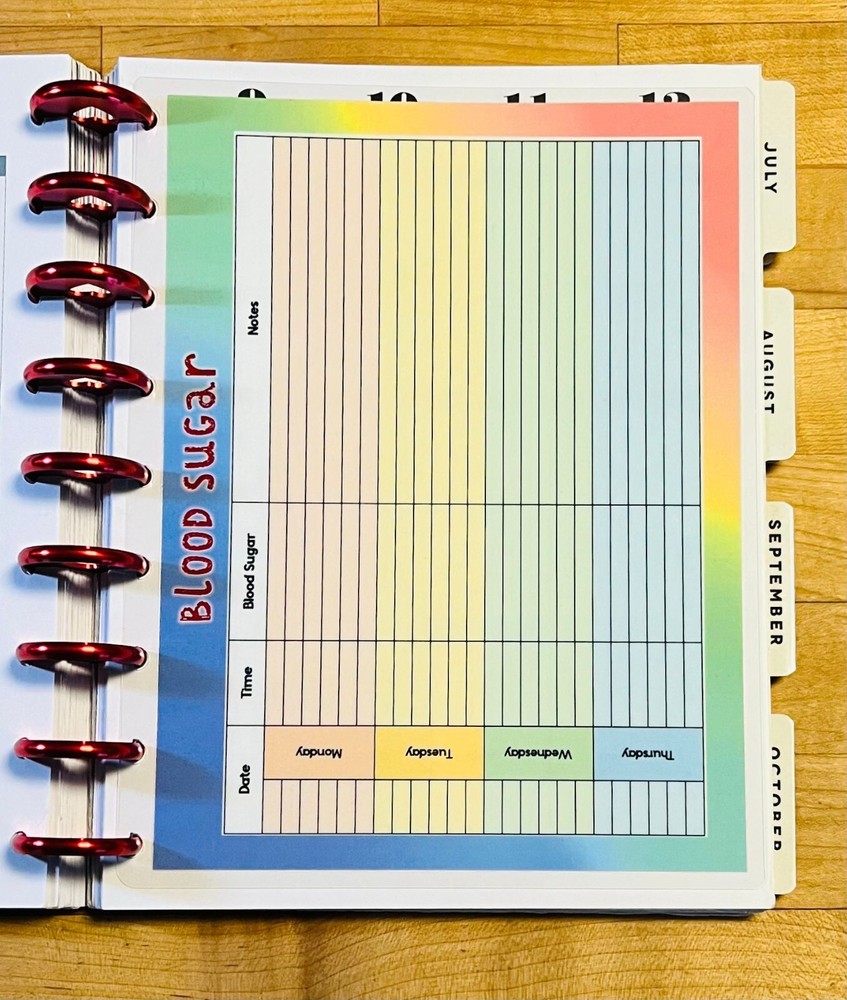 Blood Sugar Tracker Dashboard Insert for use with Classic HAPPY Planner-