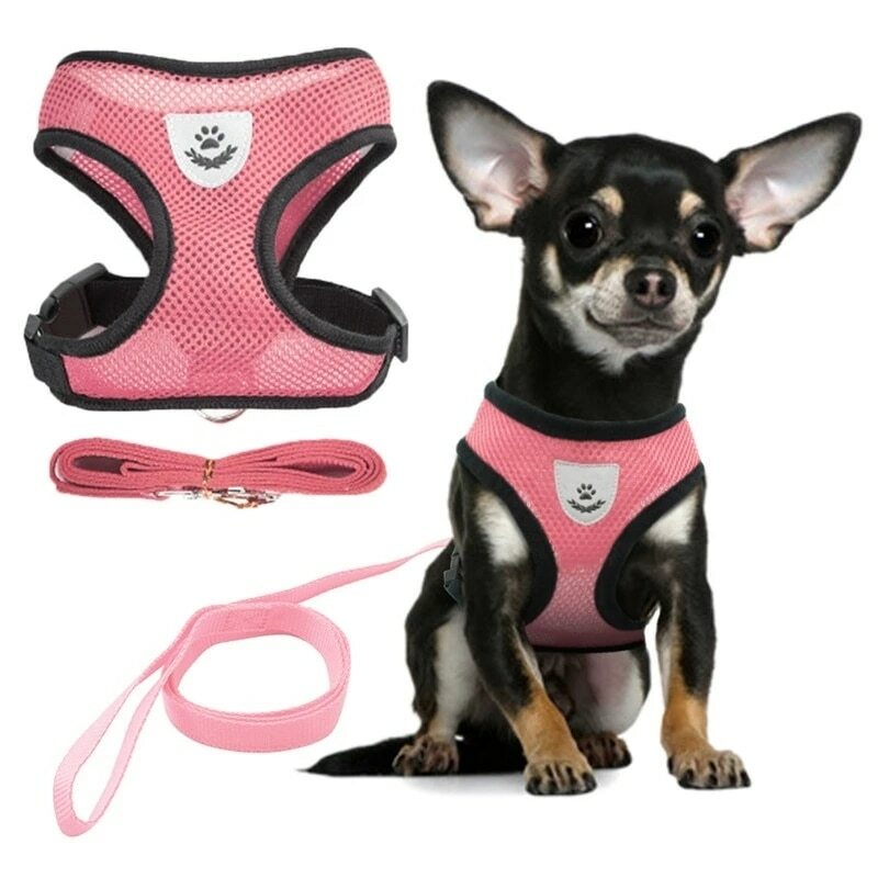 Mesh Padded Soft Puppy Pet Dog Harness Breathable Comfortable Many Colors S M L