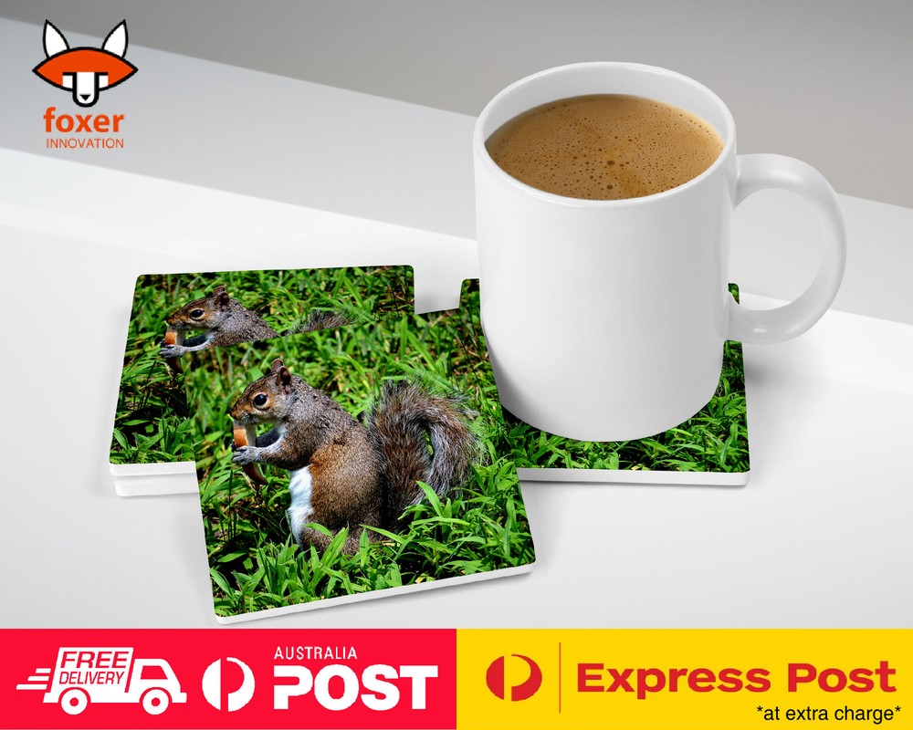 COASTER COFFEE DRINKING MAT|CUTE ADORABLE SQUIRREL RODENT #13