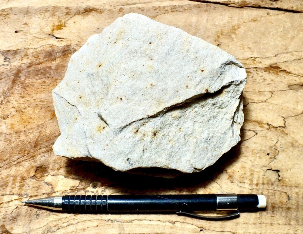 sandstone - arkosic fine grained Miocene sandstone - hand/display specimen