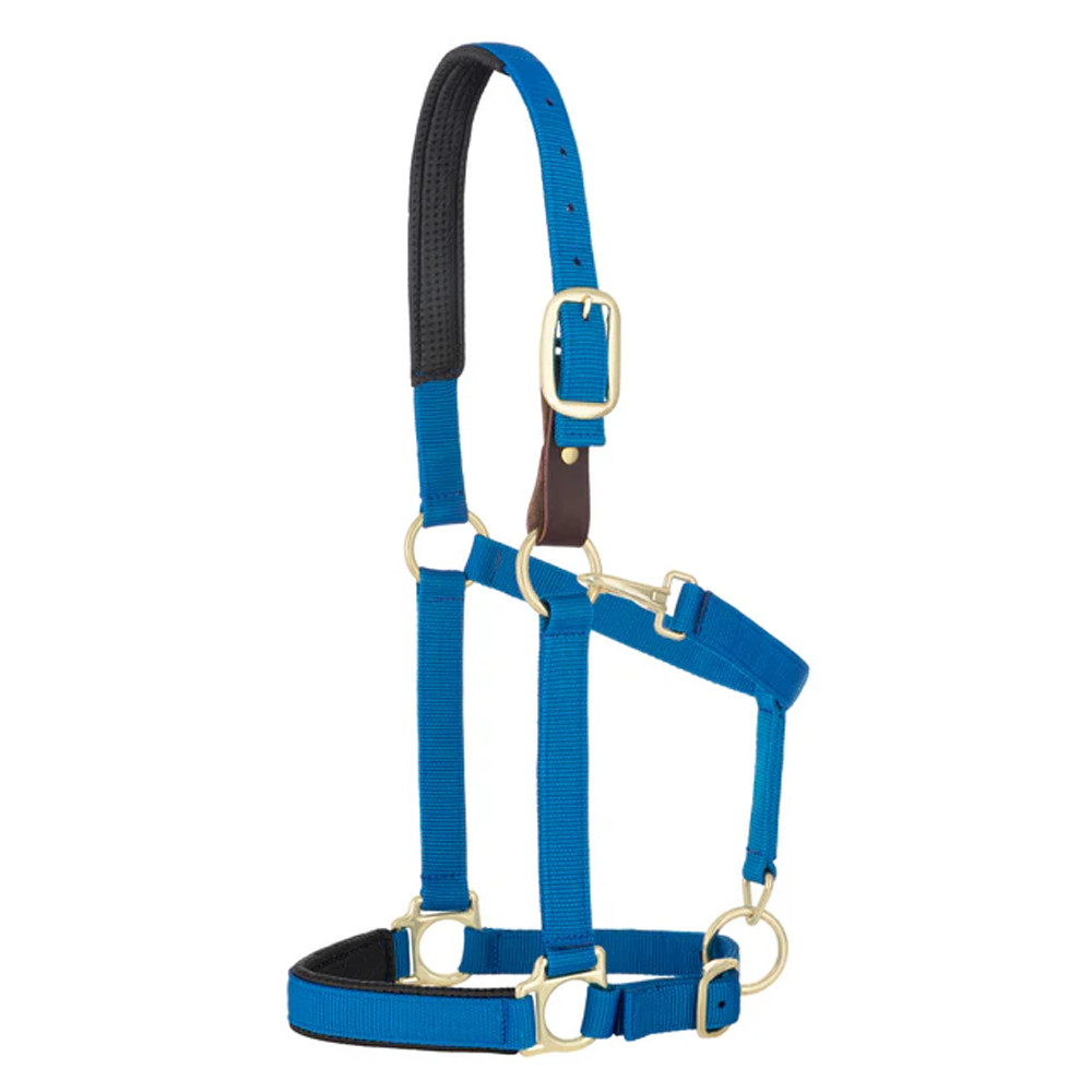 35-6075-BL Weaver Leather Padded Breakaway Adjustable Snap Halter - Solid Blue