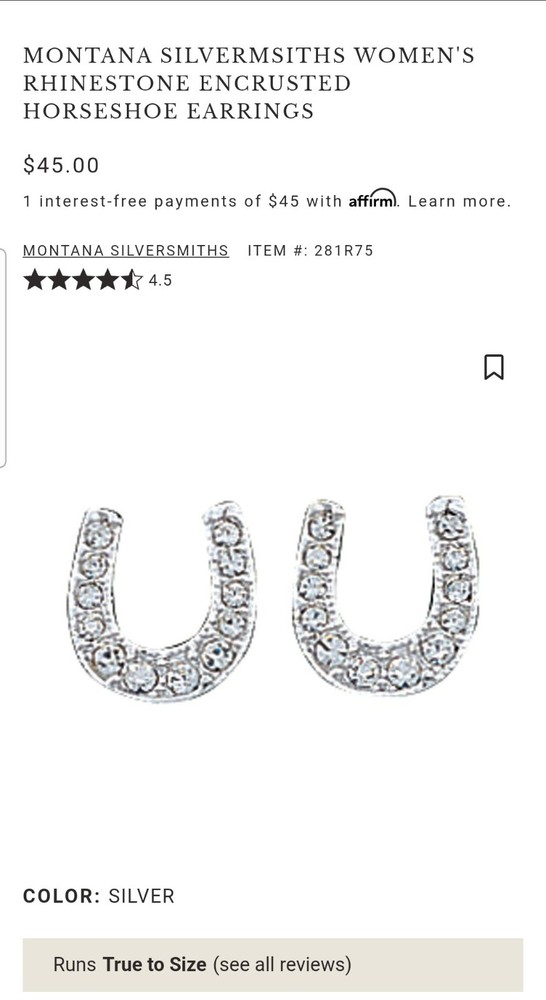 Silversmith Horshoe Earings