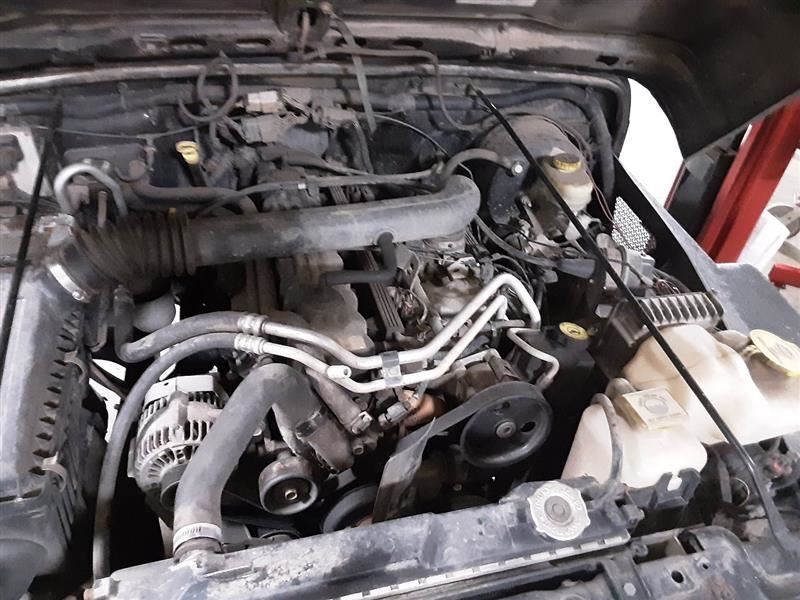 WRANGLER 2004 User Defined 125748