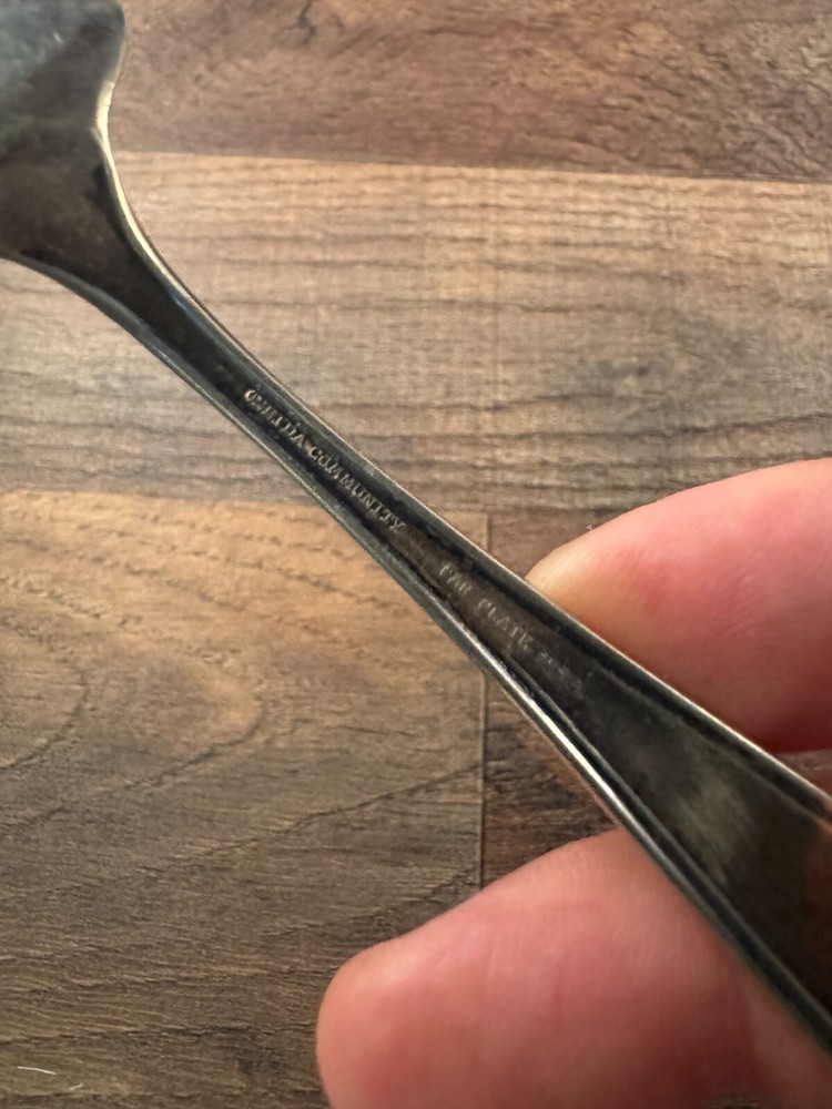 Oneida Community Par Plate Silverplated Teaspoon