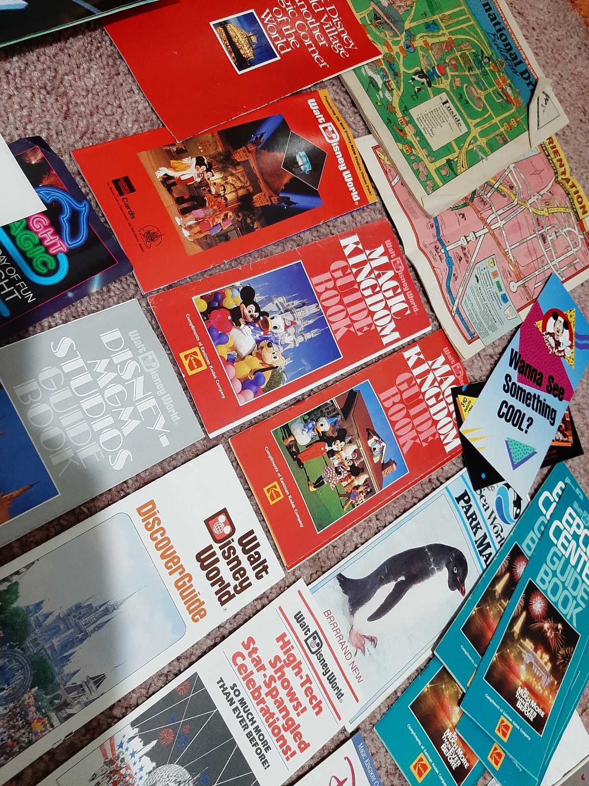 HUGE LOT - DISNEY WORLD and FLORIDA Sites - Brochures Books Souvenirs - 80s-90s