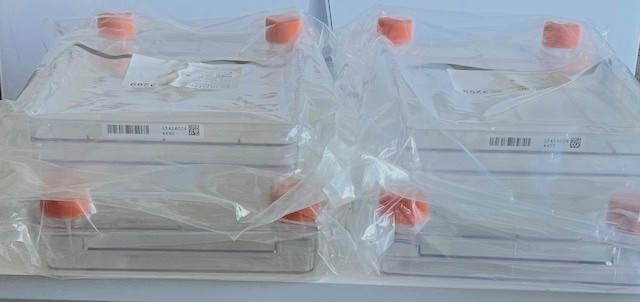 CORNING CellSTACK Polystyrene CellBIND - 2 Chamber with Vent Caps, lot of 4 pcs