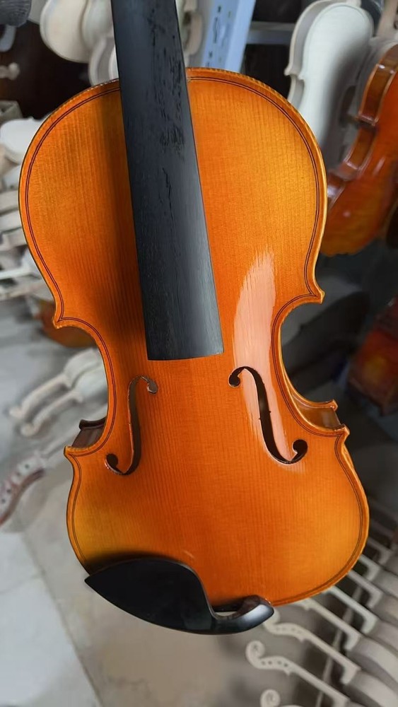 Stradivirus 4/4 Handmade Violin with Free Case