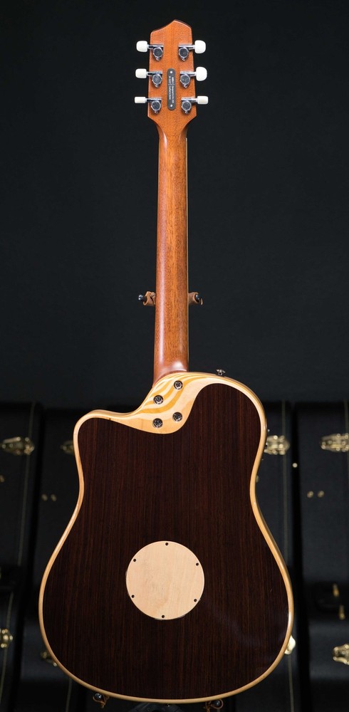 LR Baggs AEG-1 Torrefied Top