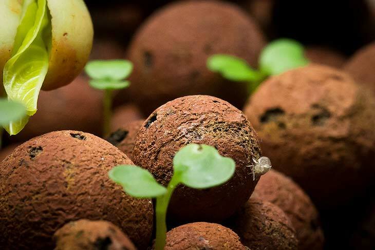 Clay Pebbles HYDROTON Growing Media Expanded Clay Rocks for Hydroponic systems