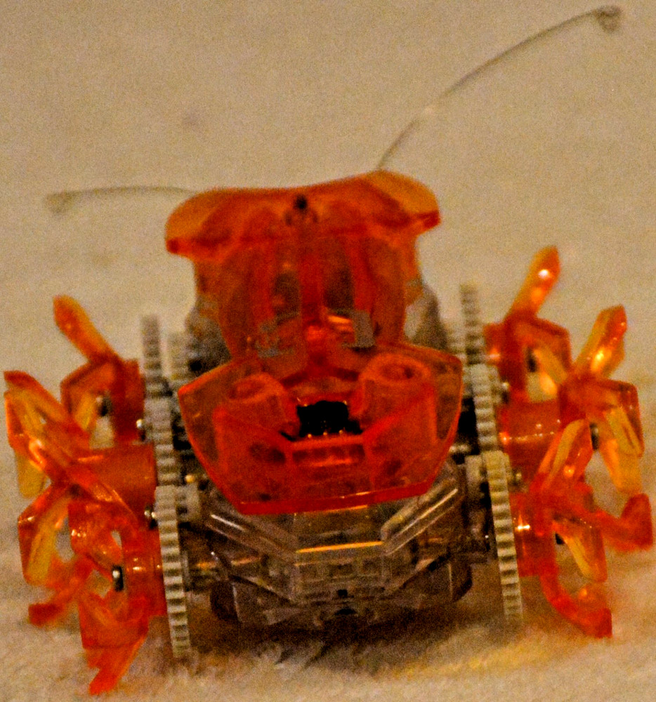 Hexbug Robotic Toys Micro Ant Spider Beetle Insect Creatures Remote Tech Scarab2