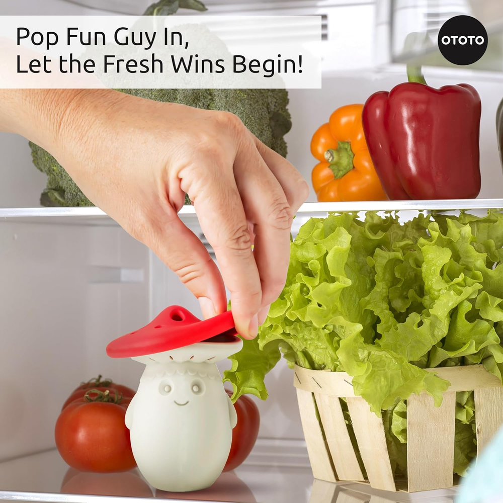 Fridge Deodorizer by - Baking Soda Fridge, Refrigerator Deodorizer, Baking Soda