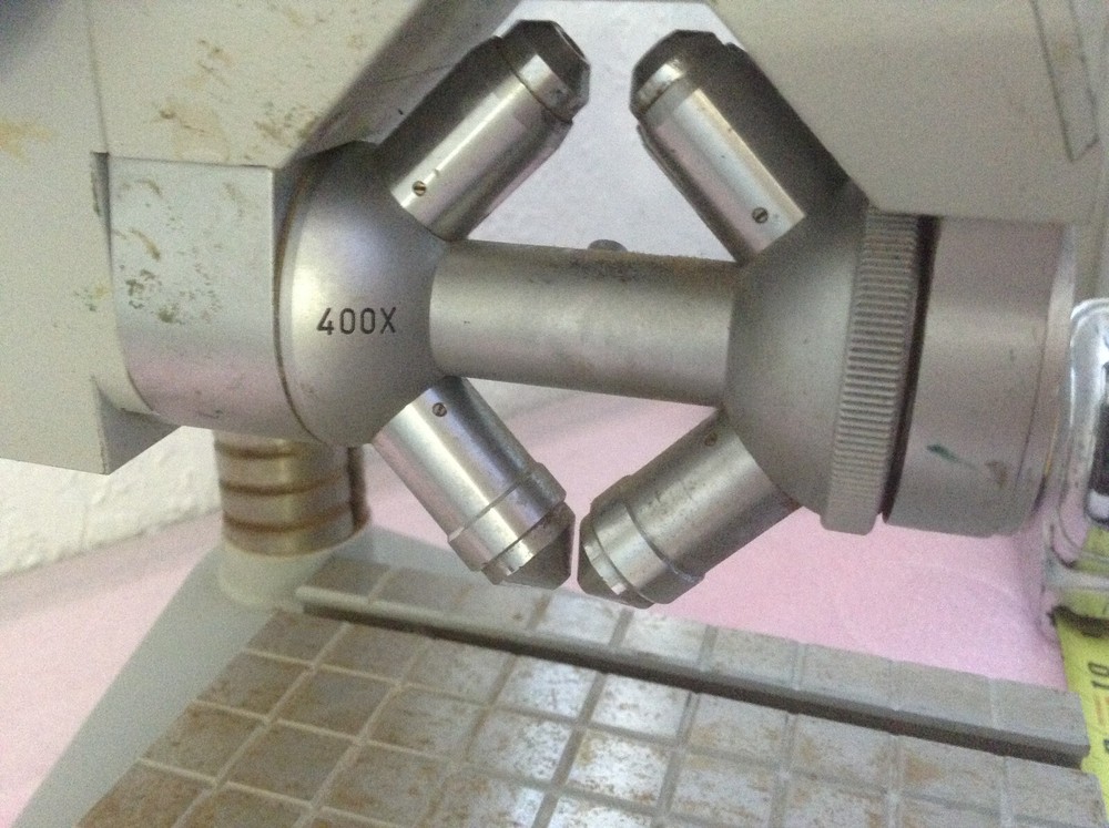 Zeiss 5103198 400X Microscope