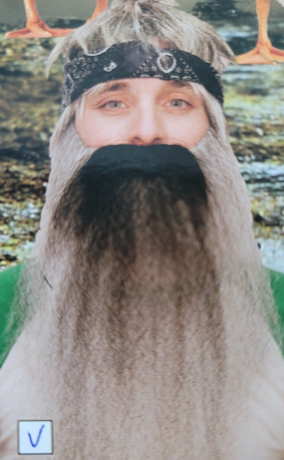 Duck Dynasty Hunting Beards 4 Styles