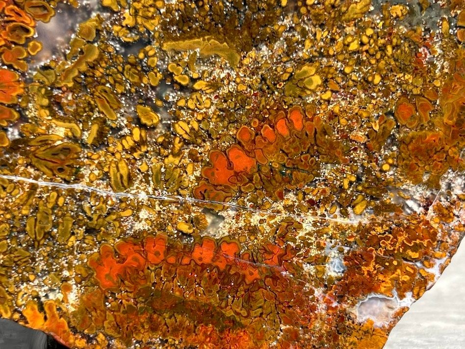 East Java Plume Agate - Indonesia 3.75"x3" High Grade Lapidary Rough Slab