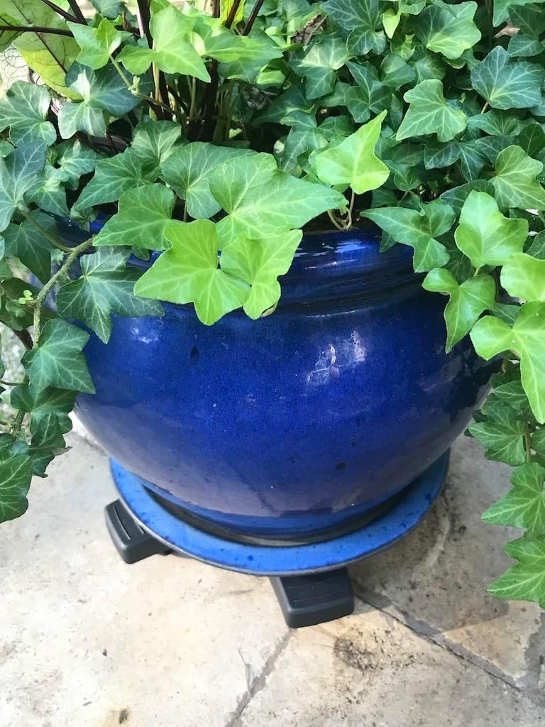 16" Plant Caddie - Heavy-Duty Rolling with Locking Wheels, 500 lb Capacity – ...