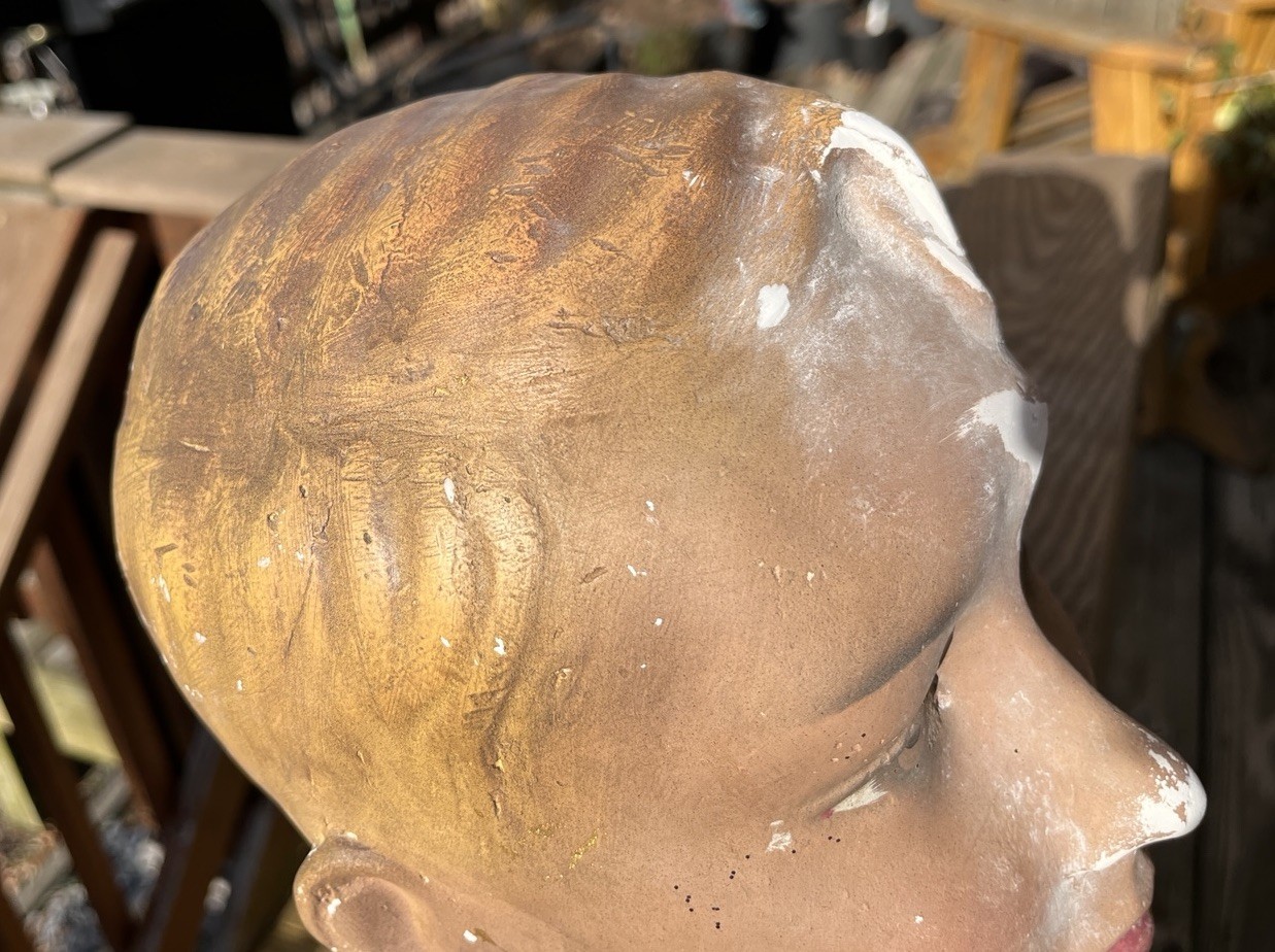 Antique, 1900’s Plaster Child Mannequin Bust, German, Brown Eyes, Blond Hair