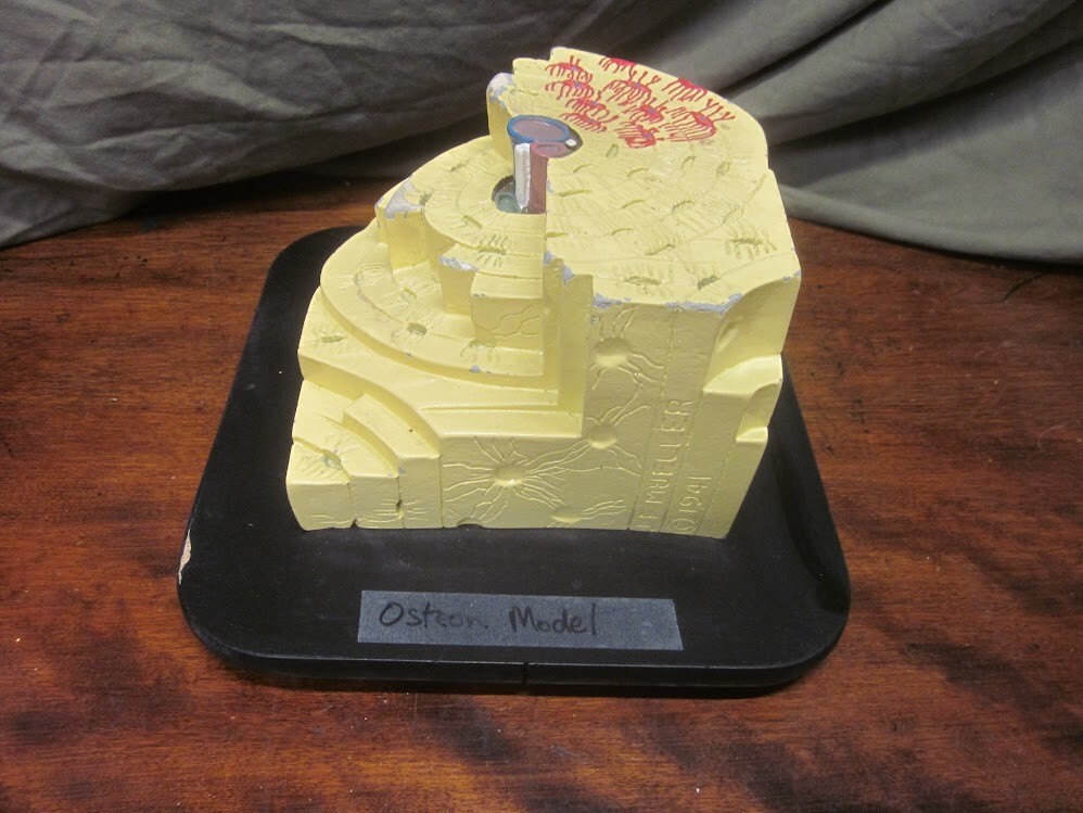 Vintage 1941 Mueller Human Bone Structure Osteon Model