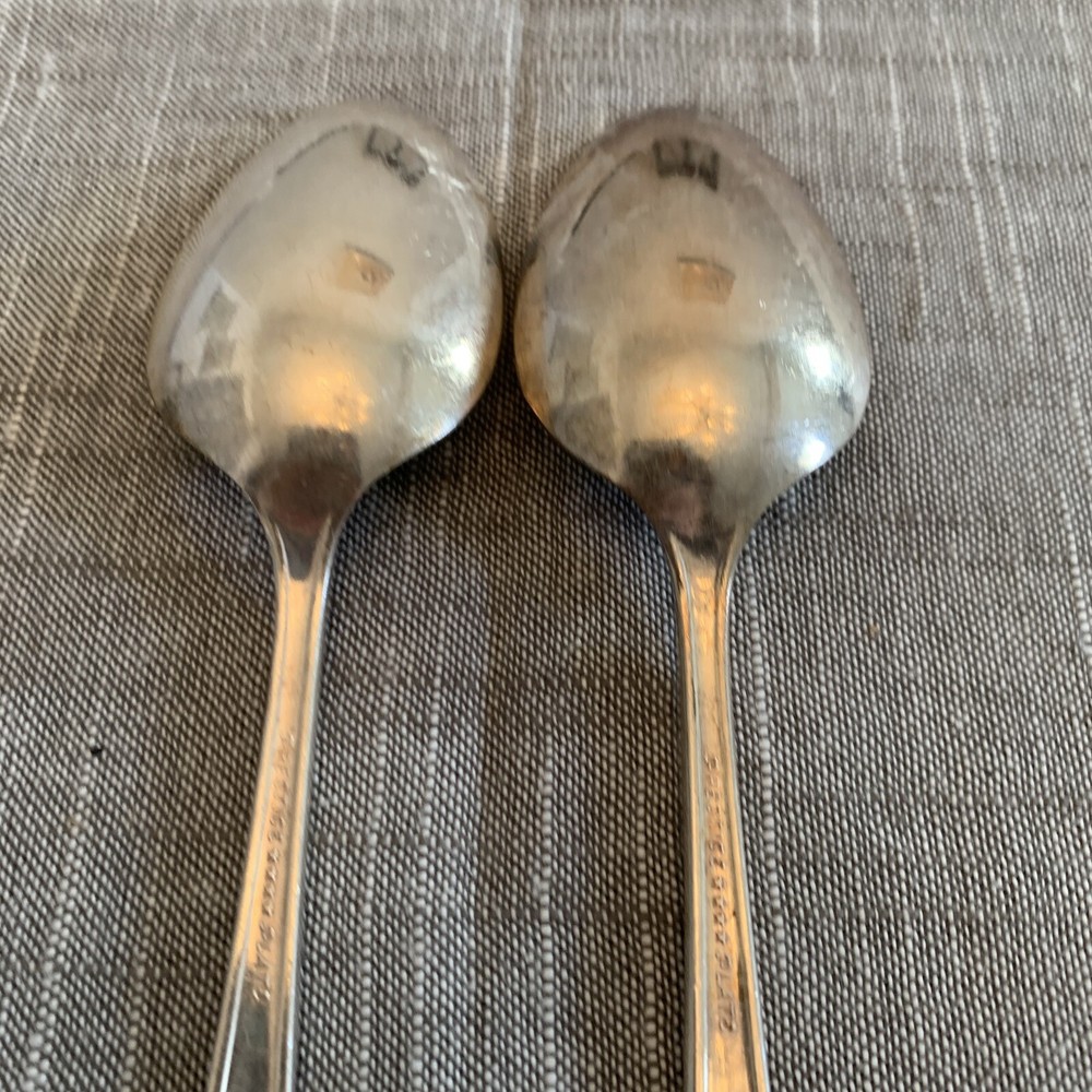 Oneida Prestige Silverplate table spoon Distinction