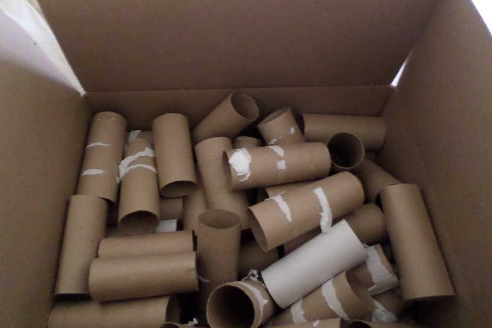 empty toilet paper rolls