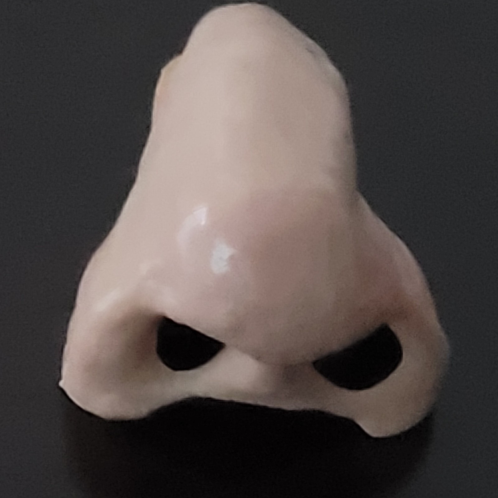 Vtg Artificial NOSE Hard Plastic Prosthesis Costume Cosplay Theater Halloween