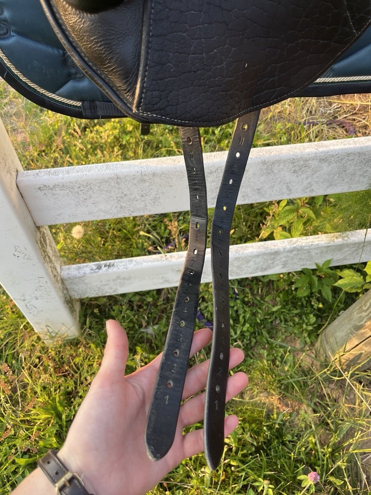 2017 Custom Saddlery Icon Star