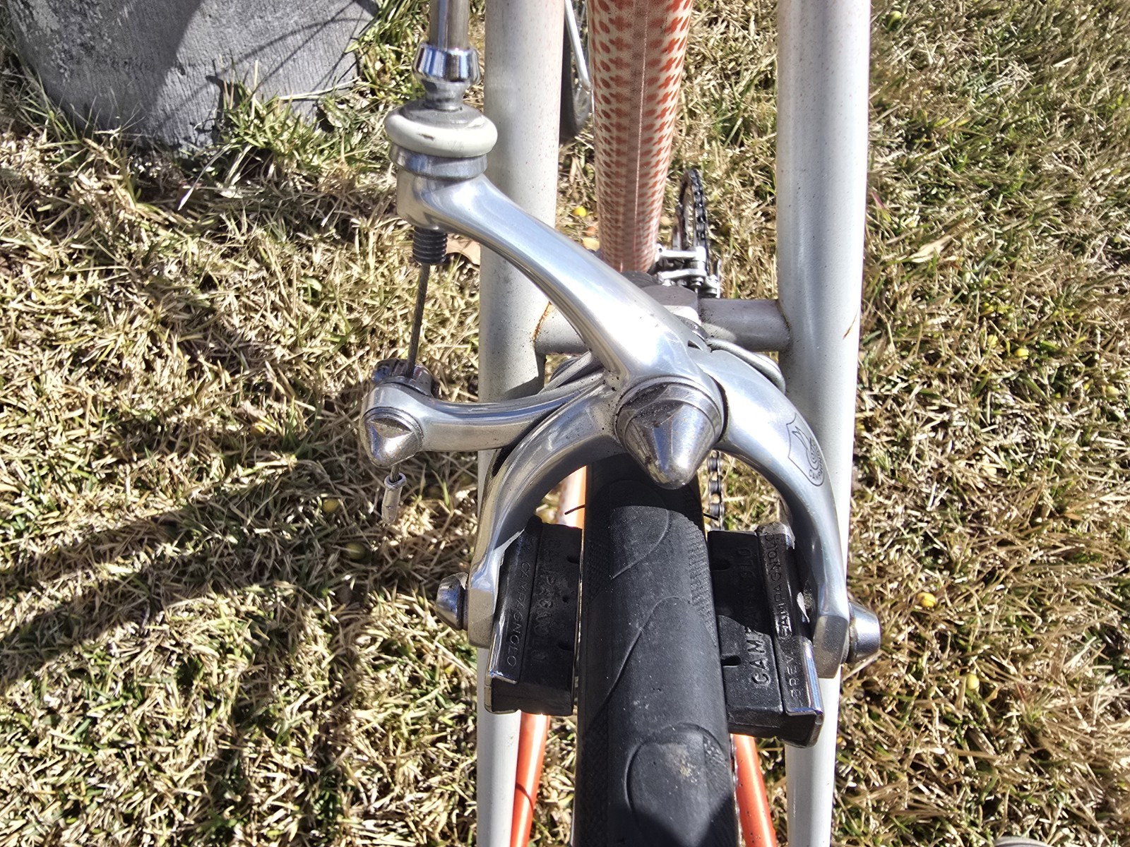 Gianni Motta Bike with Campagnolo Parts 53cm