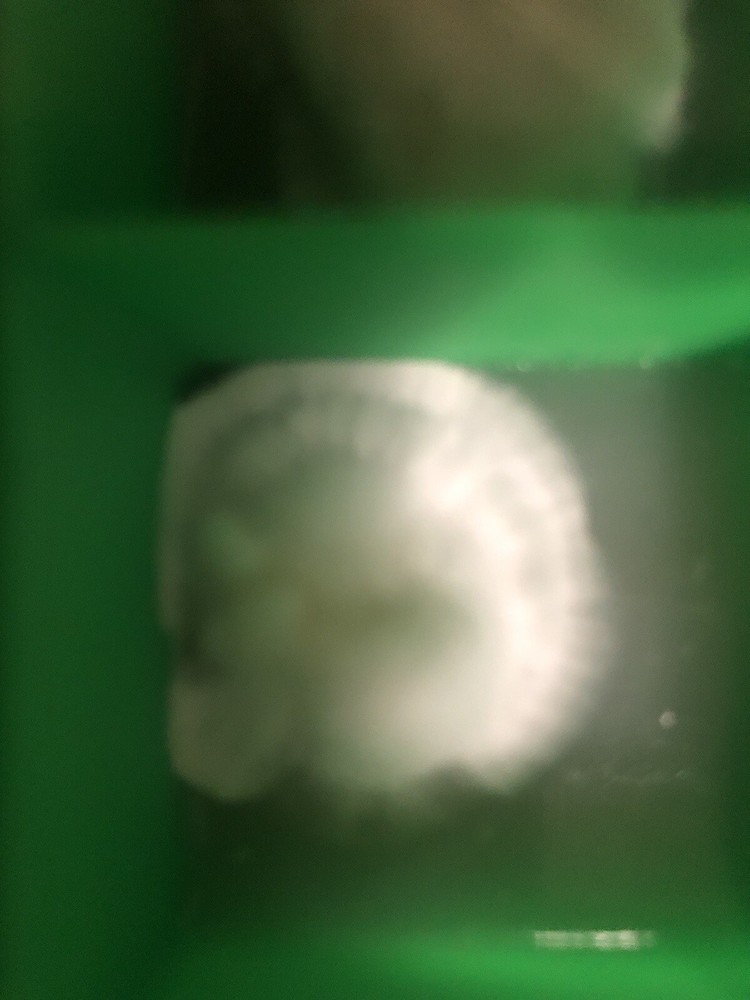 Live Genetics (Pick from Agar/LC/MSS/SS/SP)