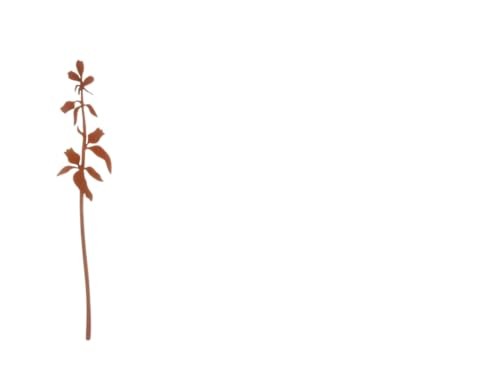 Retro-Style Metal Garden Stakes – Elegant Floral Decor for Outdoor Spaces,