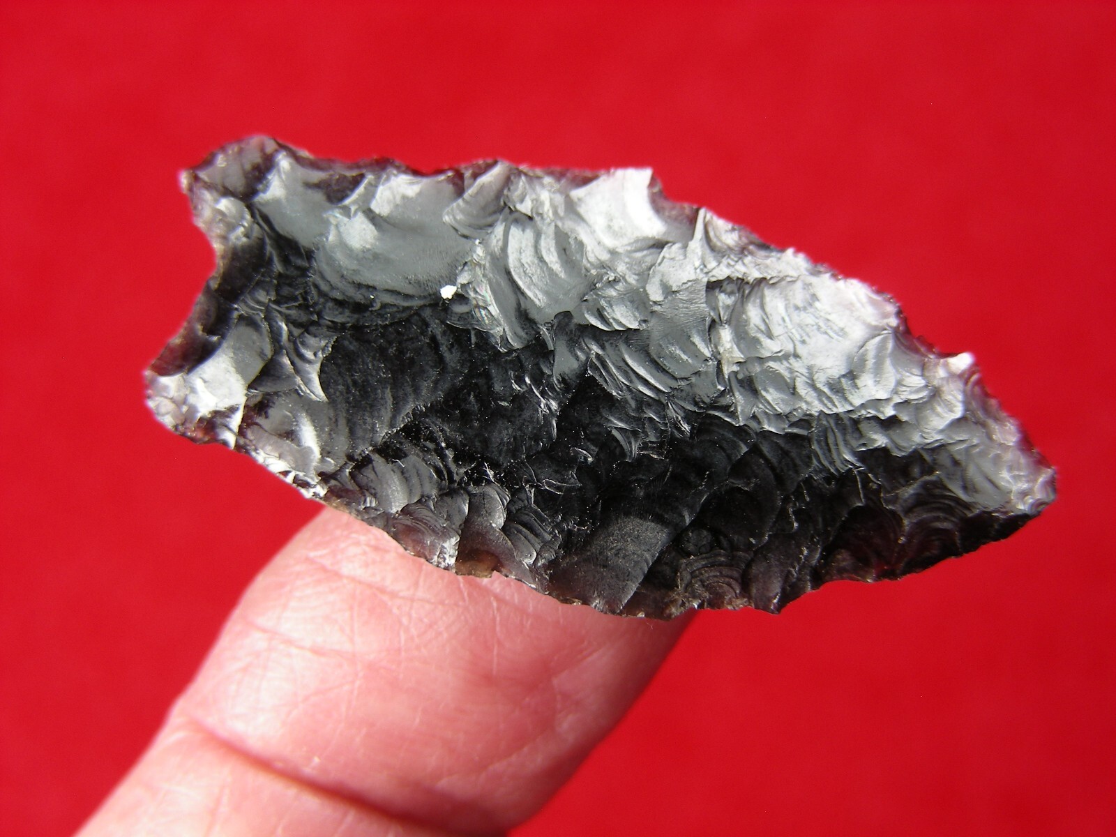 HUMBOLDT 1-1/2" CALIFORNIA Authentic Indian Relics