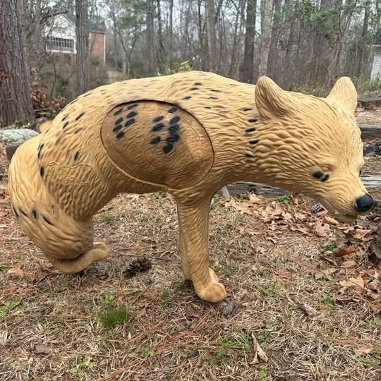 RINEHART 3D NASP COYOTE TARGET