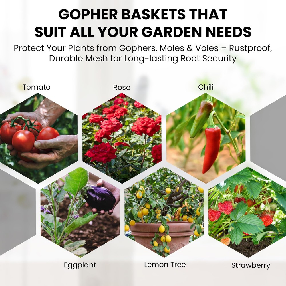 Gopher Baskets for Plants – 5 Gallon Root Guard Mesh Cages (10-Pack) | Rustpr...