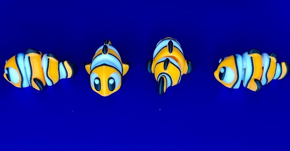 3D Printed Jiggle Pet Clown Fish