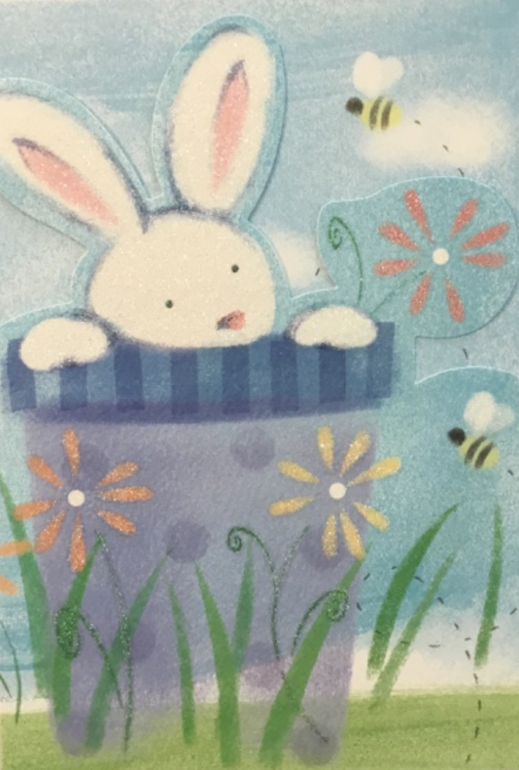 Marcel Schurman- Easter- Bunny In Flower Pot- Die Cut, Glitter