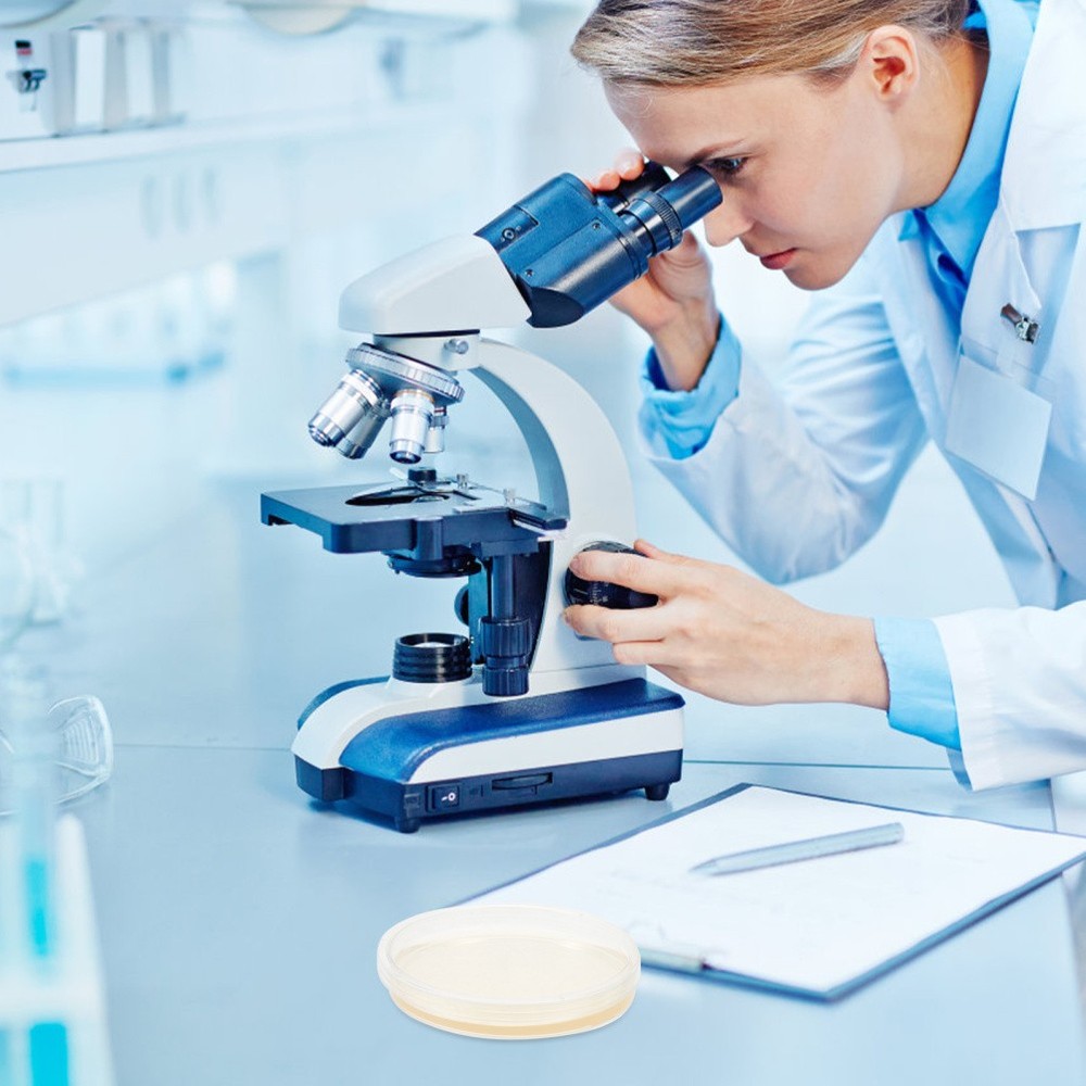 10 Pcs Prepoured Petri Dish Nutrient Agar Plate Extract