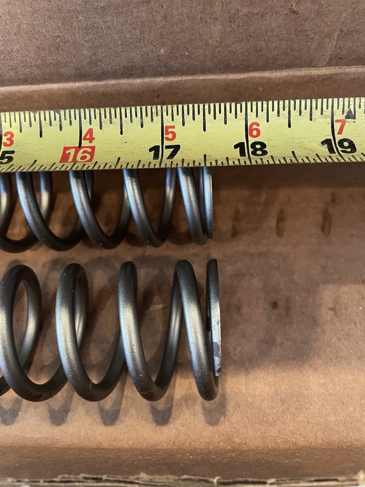 Race Tech Fork Springs