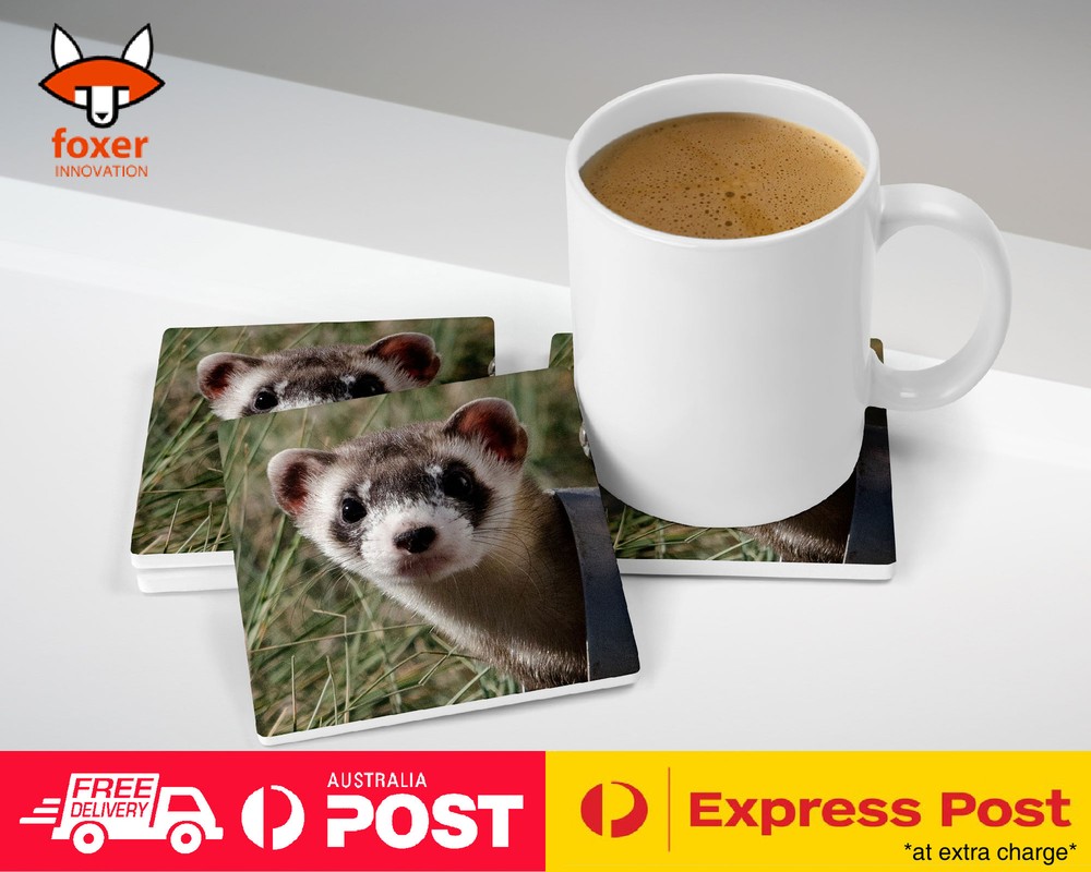 COASTER COFFEE DRINKING MAT|FERRETS PET ANIMAL 4