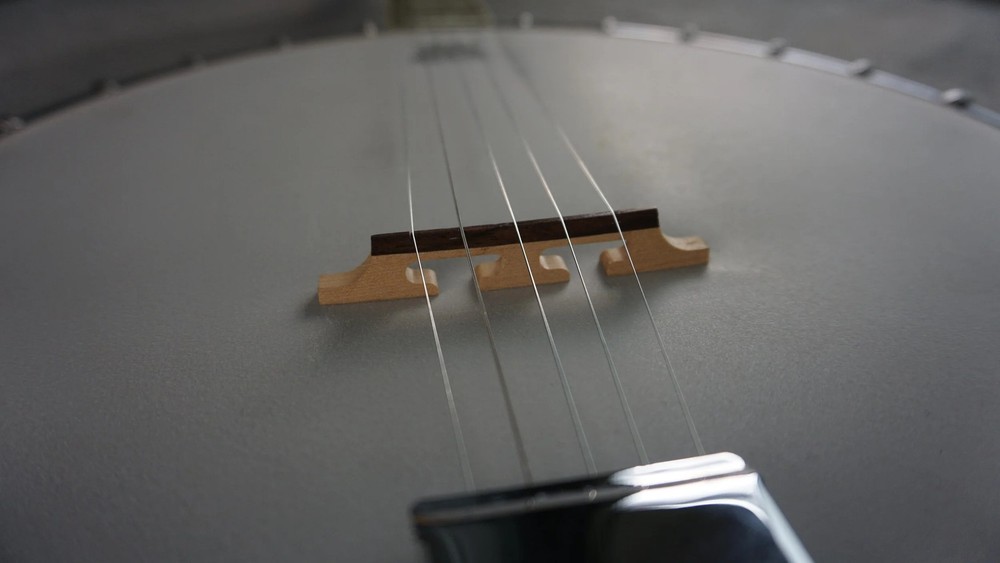 Aria 5-String Banjo Japan w/ Hard Case