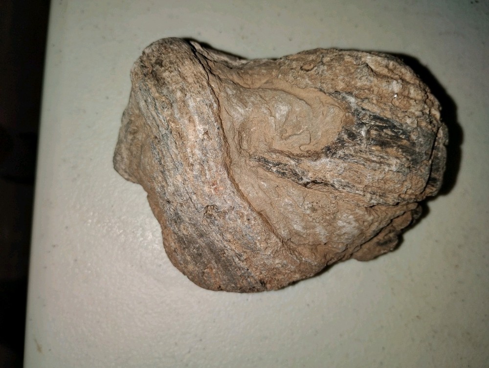 Prehistoric Limb