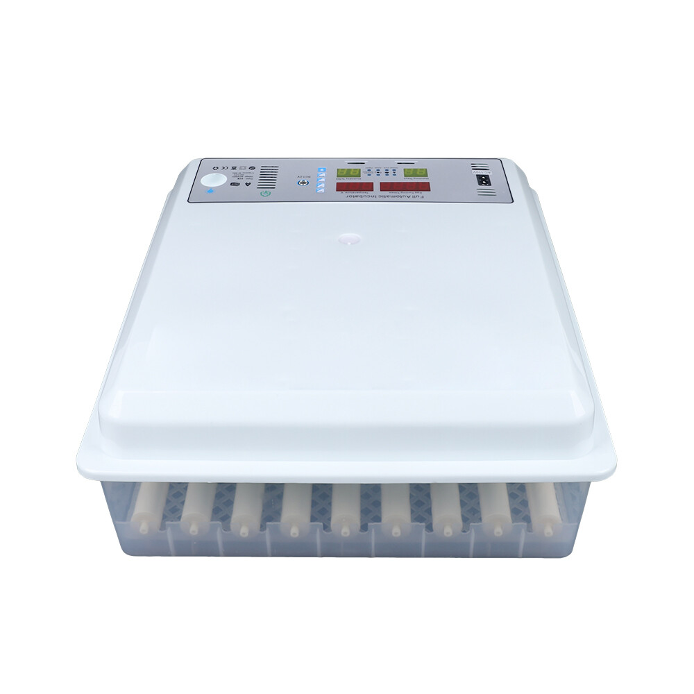 64-Egg Digital Incubator with Temperature Control & Automatic Turner