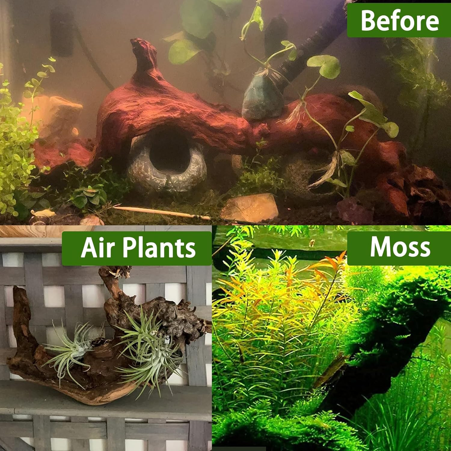 Natural Driftwood for Aquarium Decor-9-14 Assorted Large Driftwood,Fish Tank Dri