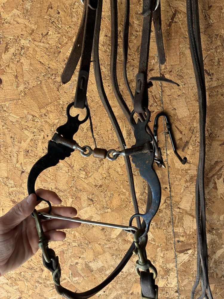Headstall, bit and heavy split reins